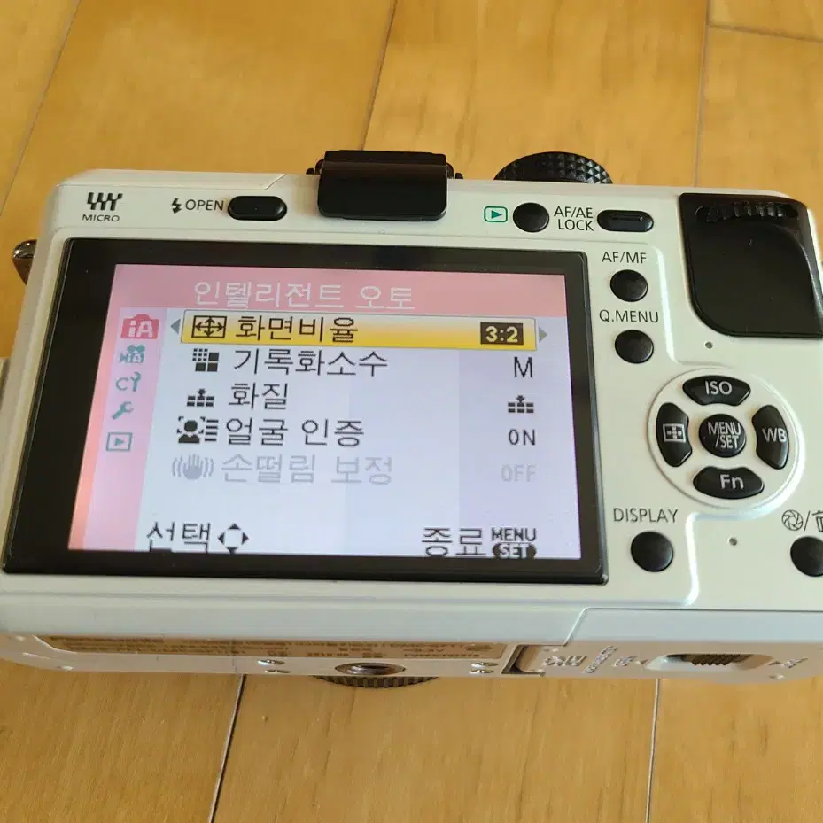 파나소닉 GF1 + 20mm 1.7 축복렌즈