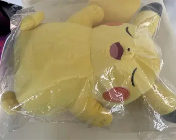 포켓몬스터 봉제 인형 포켓몬스터 슬립 피카츄 포켓몬 센터 한정판
