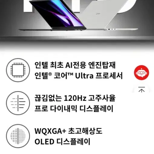 LG 그램 Pro 40.6cm Ultra 5