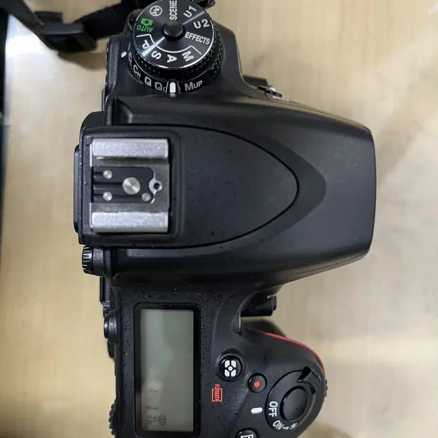 니콘 d750 + 신탐륵 + 신탐아빠