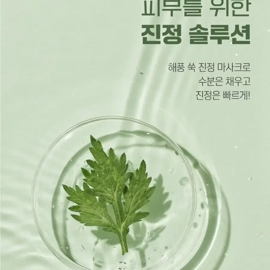 라운드랩 해풍 쑥 진정 마스크 (10매)