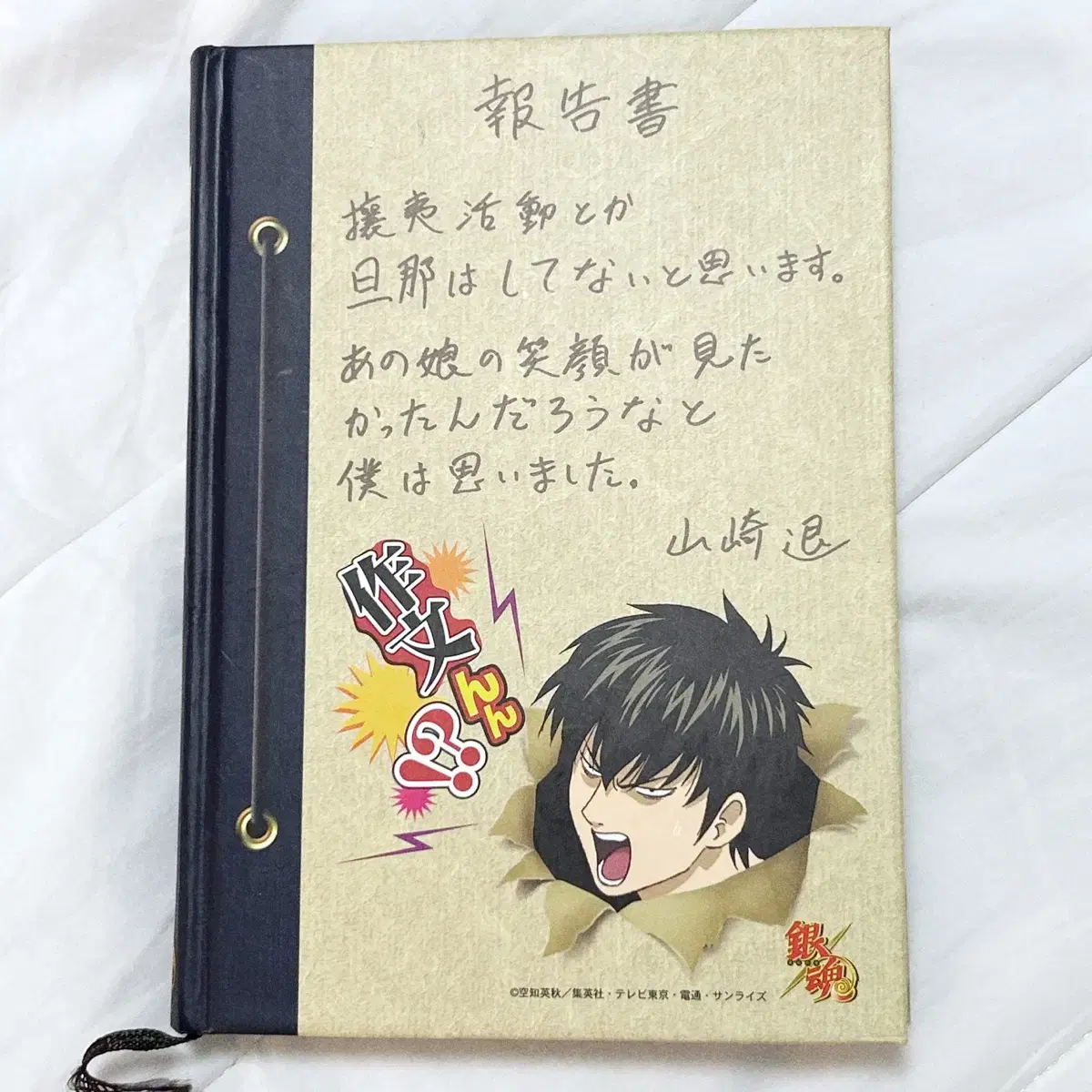 Gintama: Shinsei Gumi's Inspection Journal