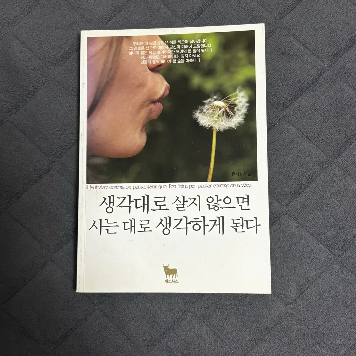 생각대로 살지 않으면 사는 대로 생각하게 된다 팝니다