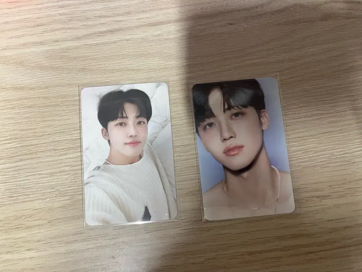 재민 시그포카