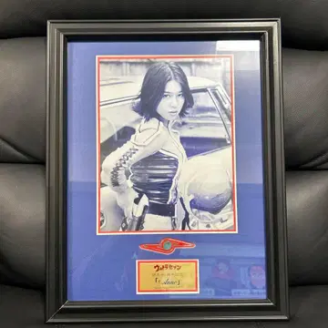 울트라 세븐 히시미 유리코 한정판 사진 패널 'ANNE' 토리 안느 대원