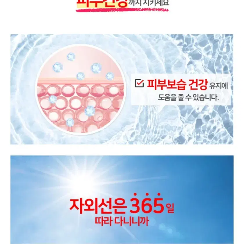 원가 19만원! 리얼메디온 포스파티딜세린+ 징코 8개월분 뇌영양제