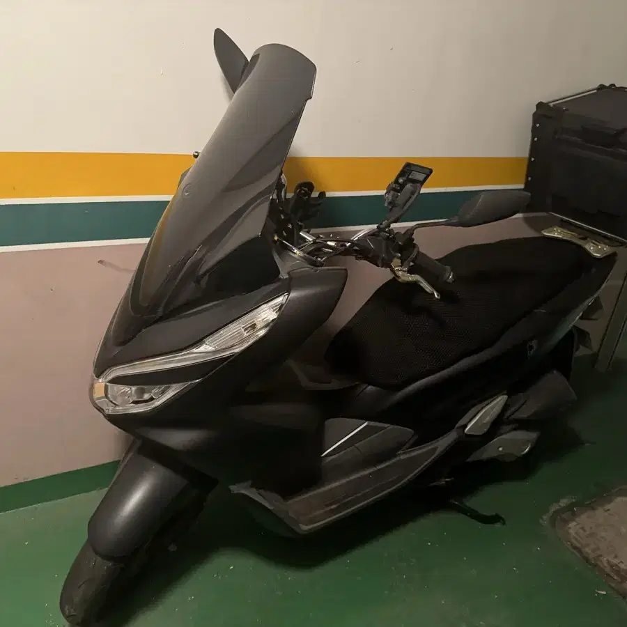 Pcx 19년식 팜