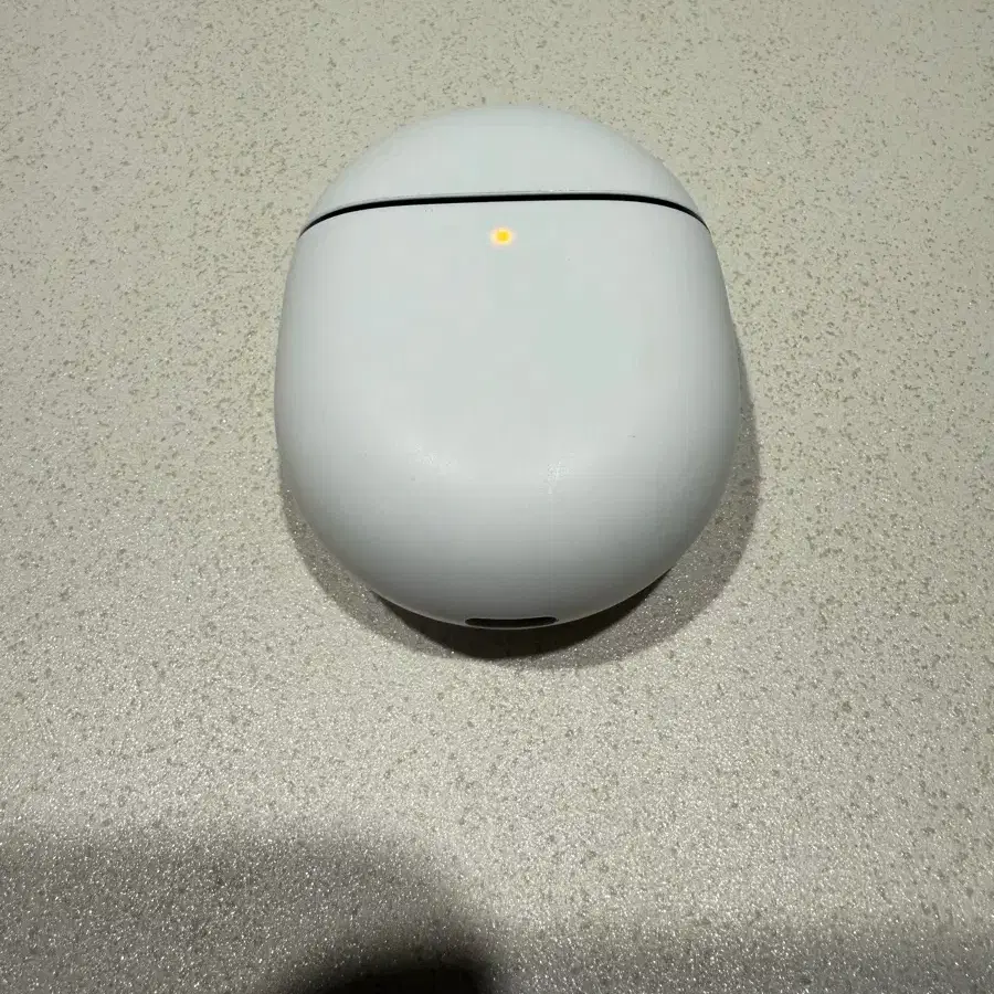 구글 픽셀 버드2