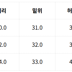 [새상품]에스피오나지 스위스 아미 워크 팬츠 올리브 [L]