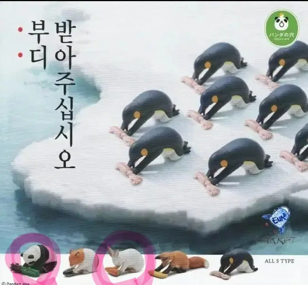 부디 받아주십시오 가챠 팬더 토끼