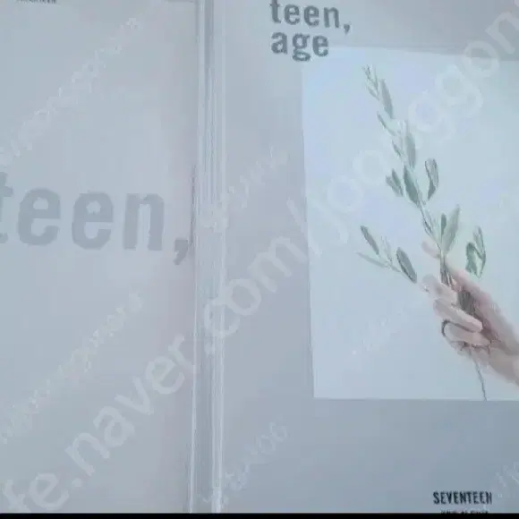 세븐틴 2집+미니 10집, 보아 1집 싱글+4집 CD