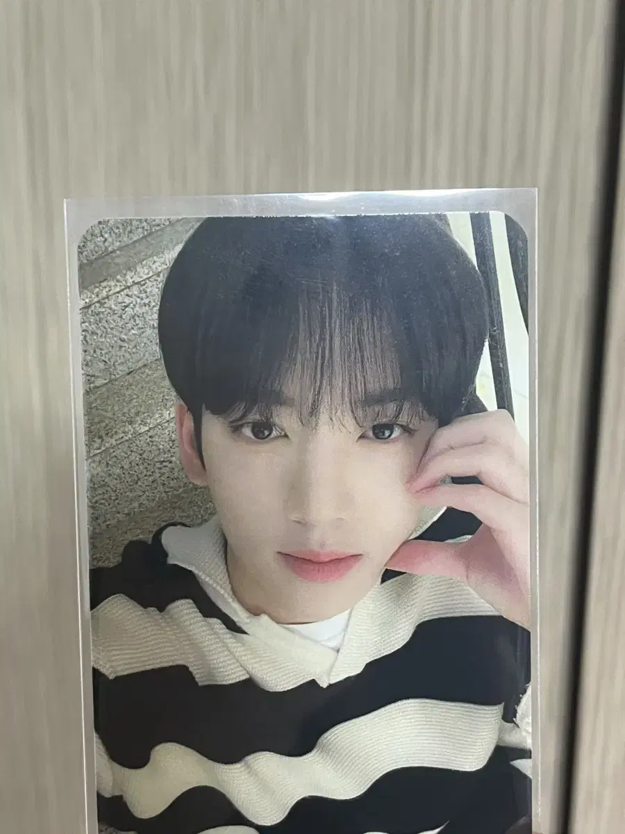 제로베이스원 제베원 한유진 케이콘 포카