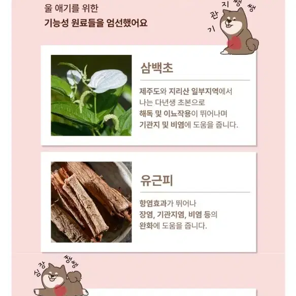 디어랩스 울애기쌩쌩 이너플러스 강아지 기관지 협착 심장 신장 간 영양제