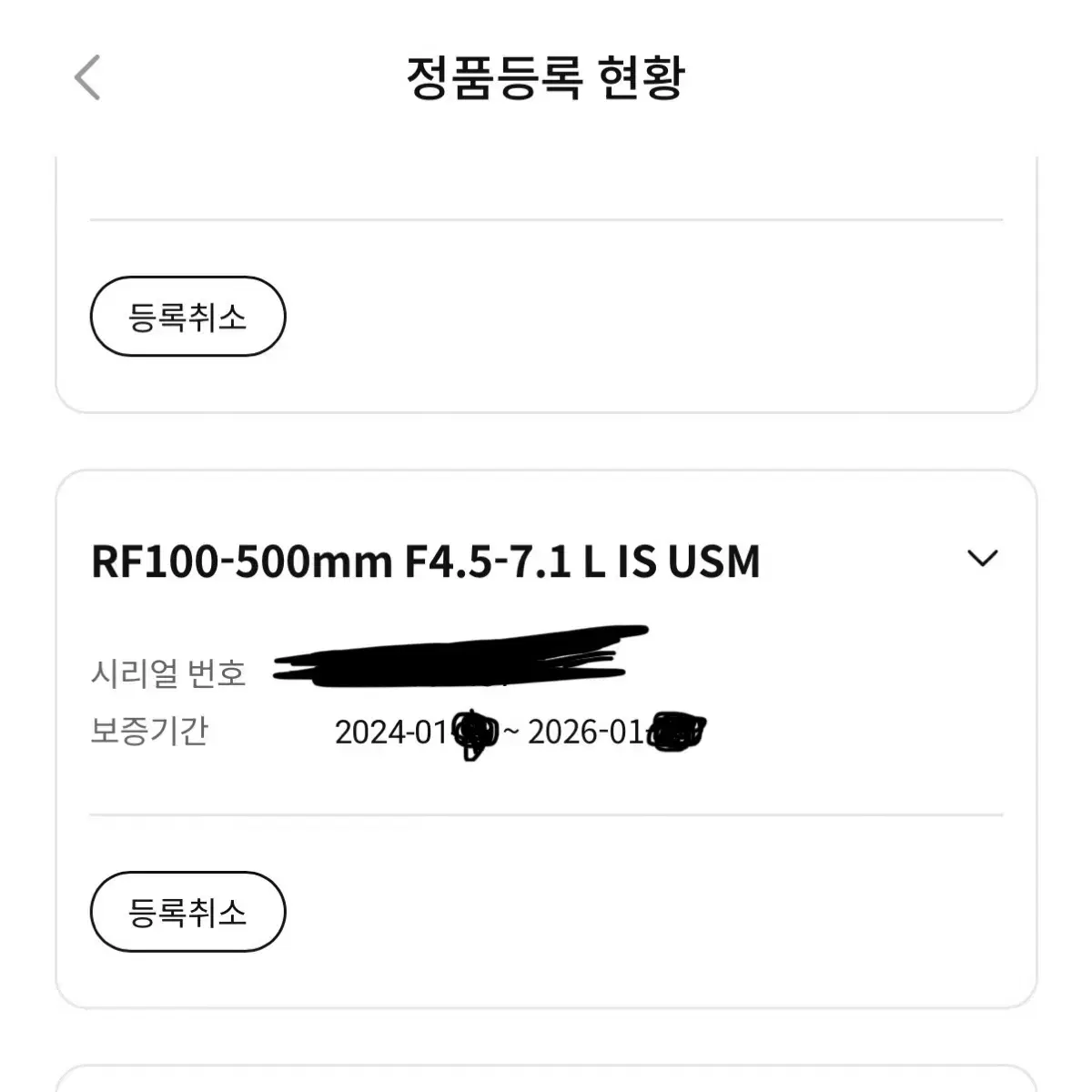 캐논 백오백 RF100-500 렌즈