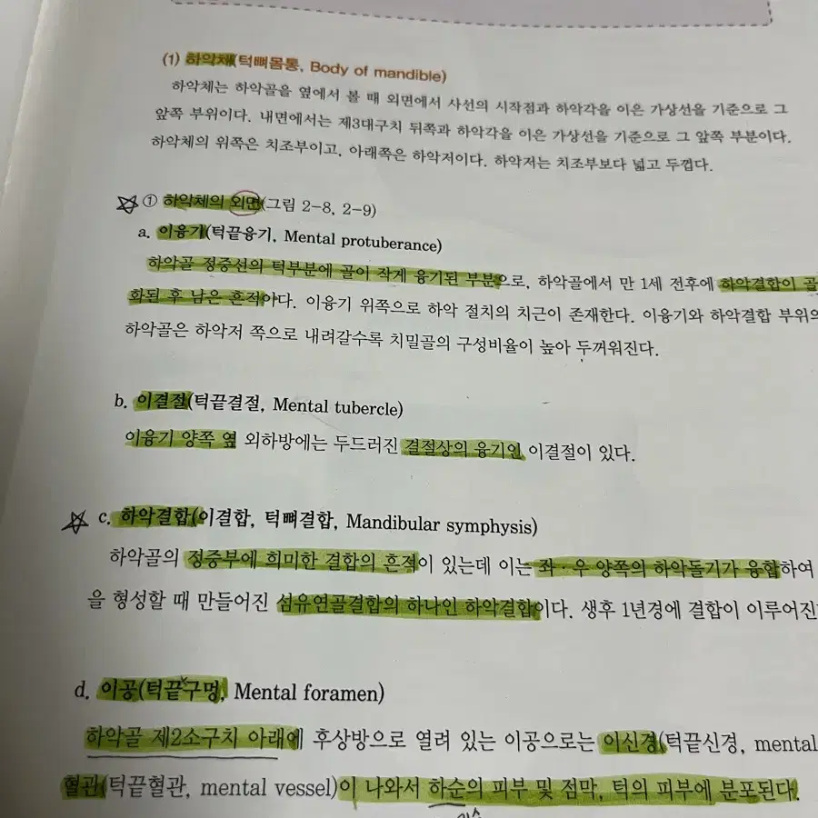 구강해부학 - 치위생 치과위생사 치위생학과