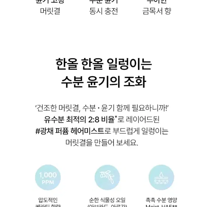 [브러쉬증정] 광채 퍼퓸 헤어미스트 130ml (돌고래) 헤어에센스