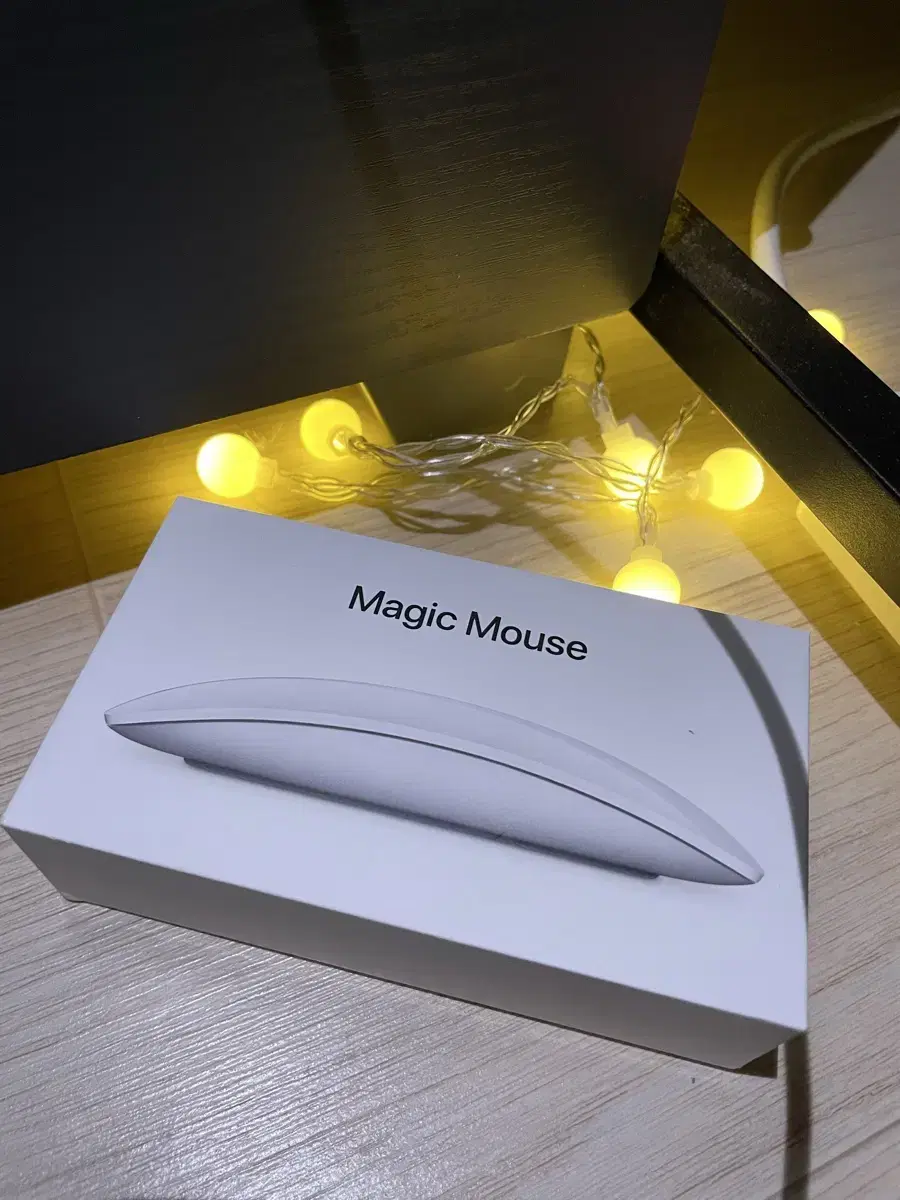 애플 매직 마우스 2 [Apple Magic Mouse 2]