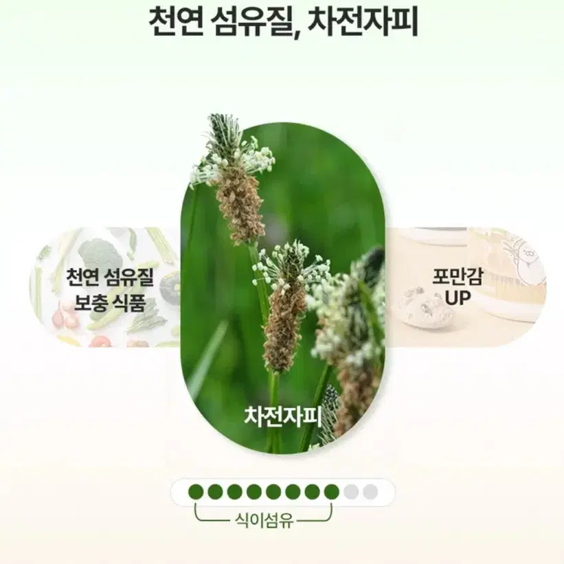 밀잇 단백질 쉐이크 초코바나나맛