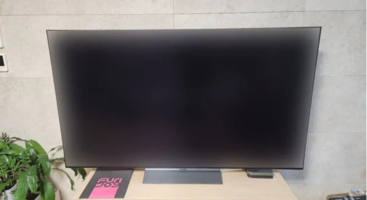 엘지 oled 24년형 55인치