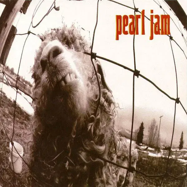 Pearl Jam - Vs. (CD) 미국반 초판 민트급 중고