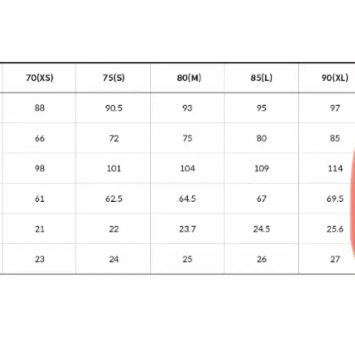 노스페이스 아이스런카르고 남성팬츠