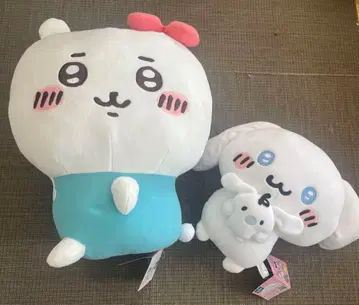 나가노 치이카와 산리오 캐릭터즈 키티 시나모롤