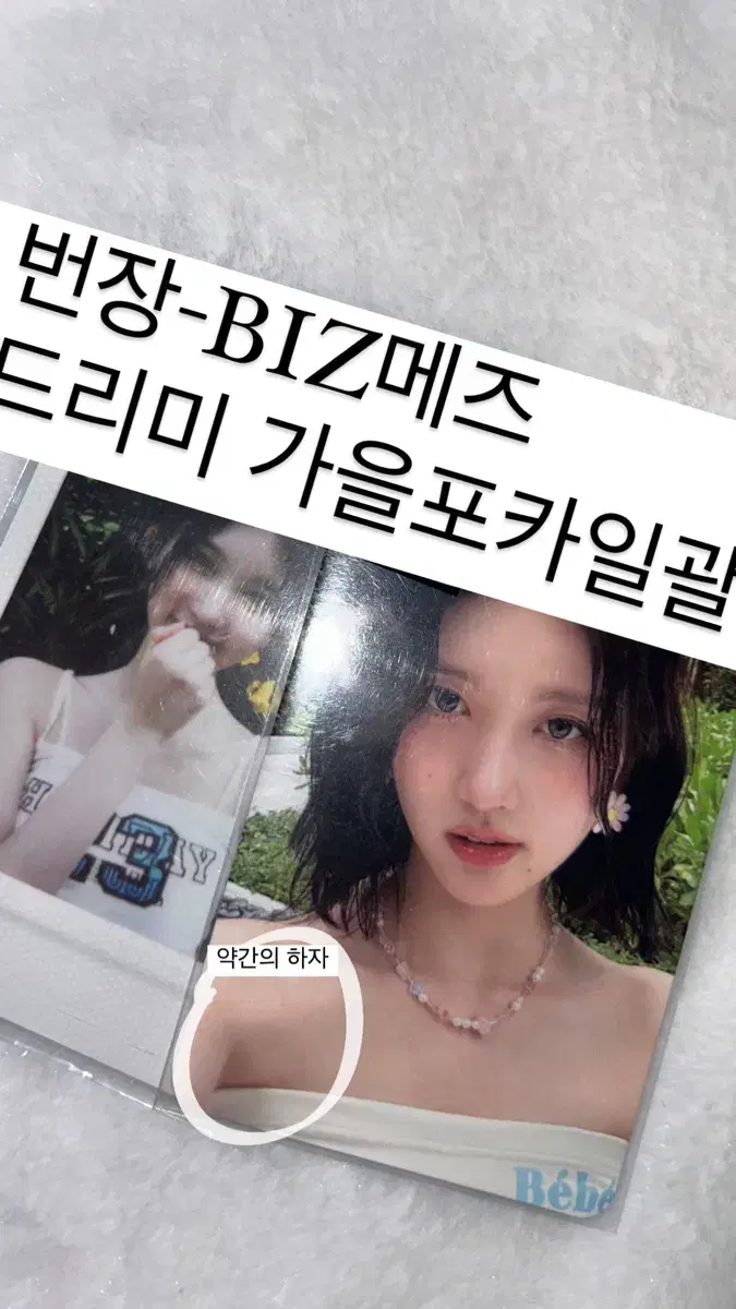 BIZ메즈)드리미 가을포카 일괄(폭덤)