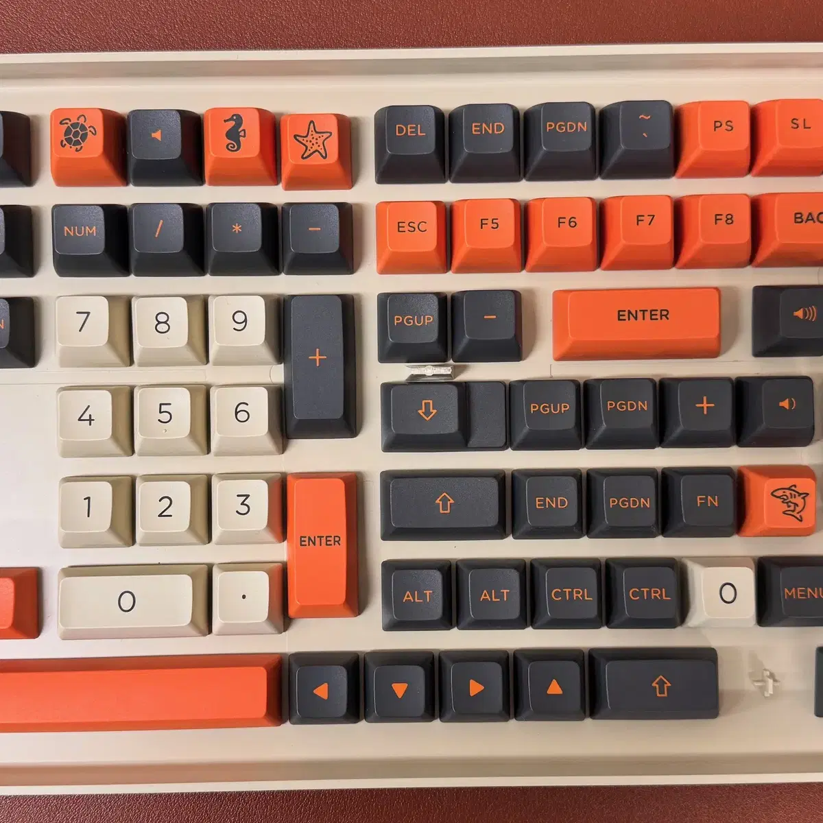 콕스 OSA PBT 키캡