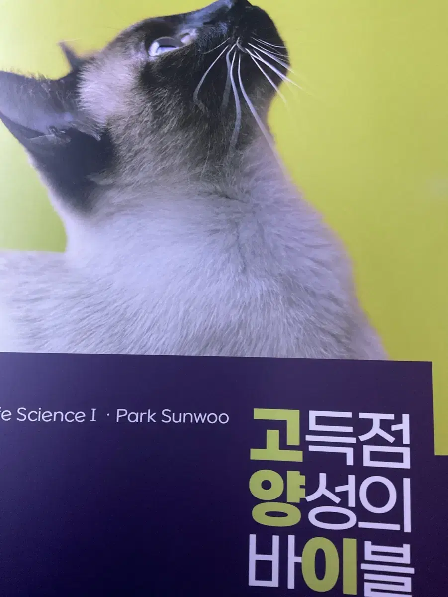 2026 고양이 박선우