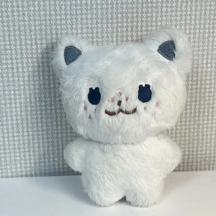 뽁냥이(입있뽁)