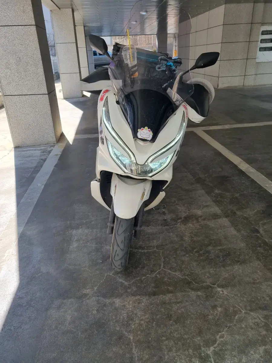 pcx125 19년식 34@@@