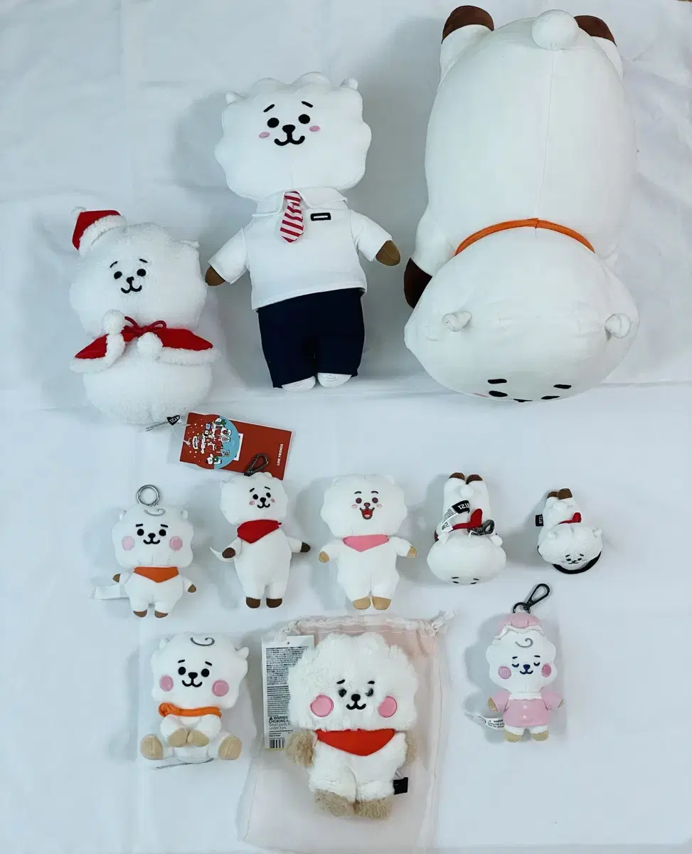 BT21 방탄소년단 RJ 인형 일괄