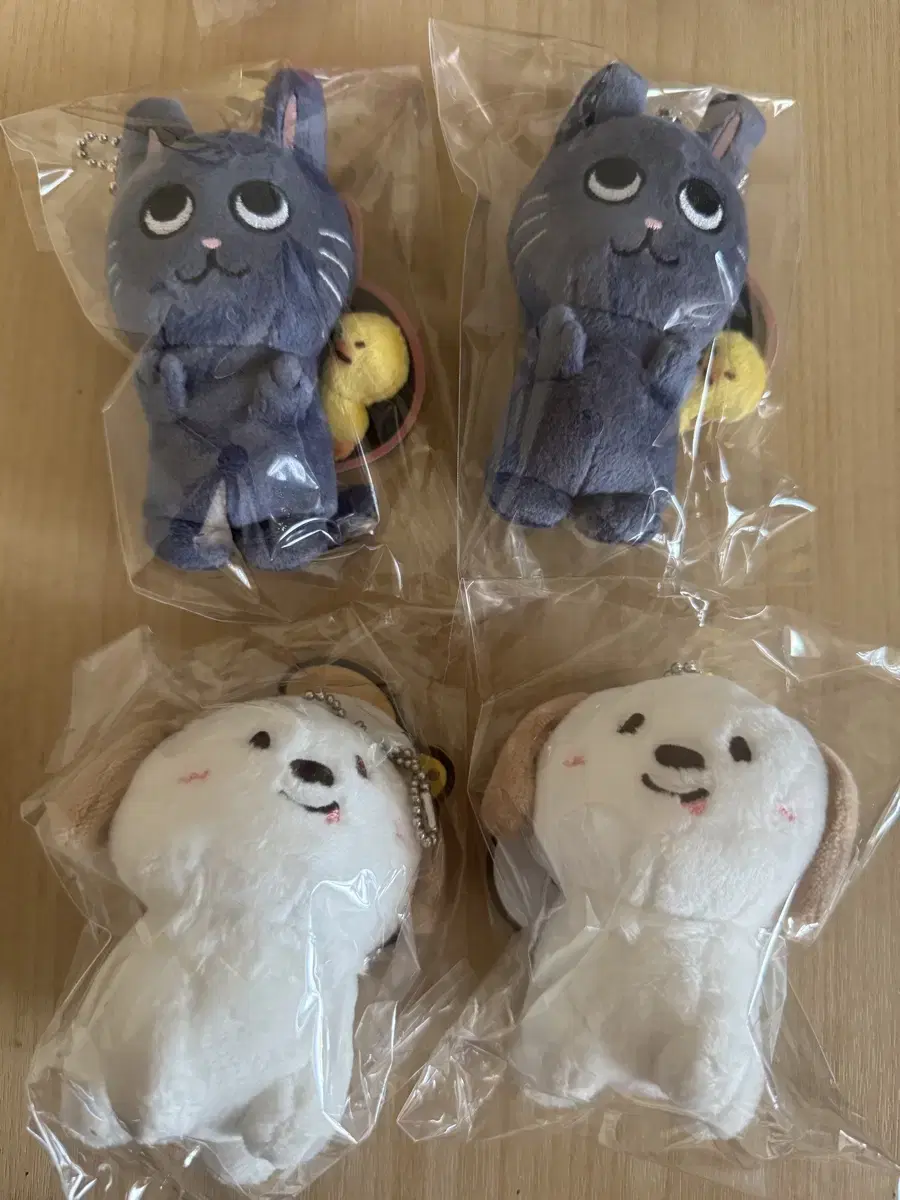 라이즈 굿즈 10cm 인형 토냥덕 멍룡이 멍룡 원빈 앤톤 미개봉 새제품
