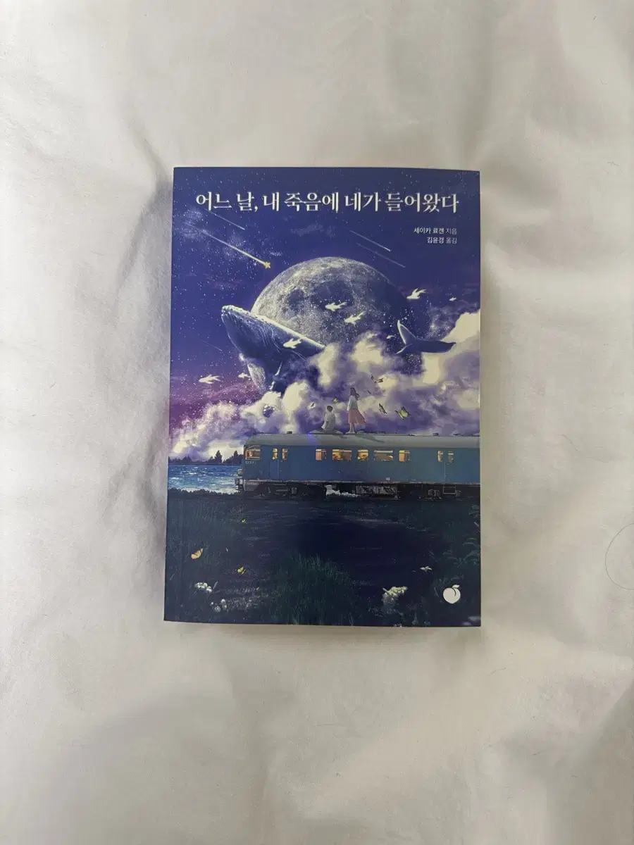 어느 날 내 죽음에 네가 들어왔다 소설책 양도 판매