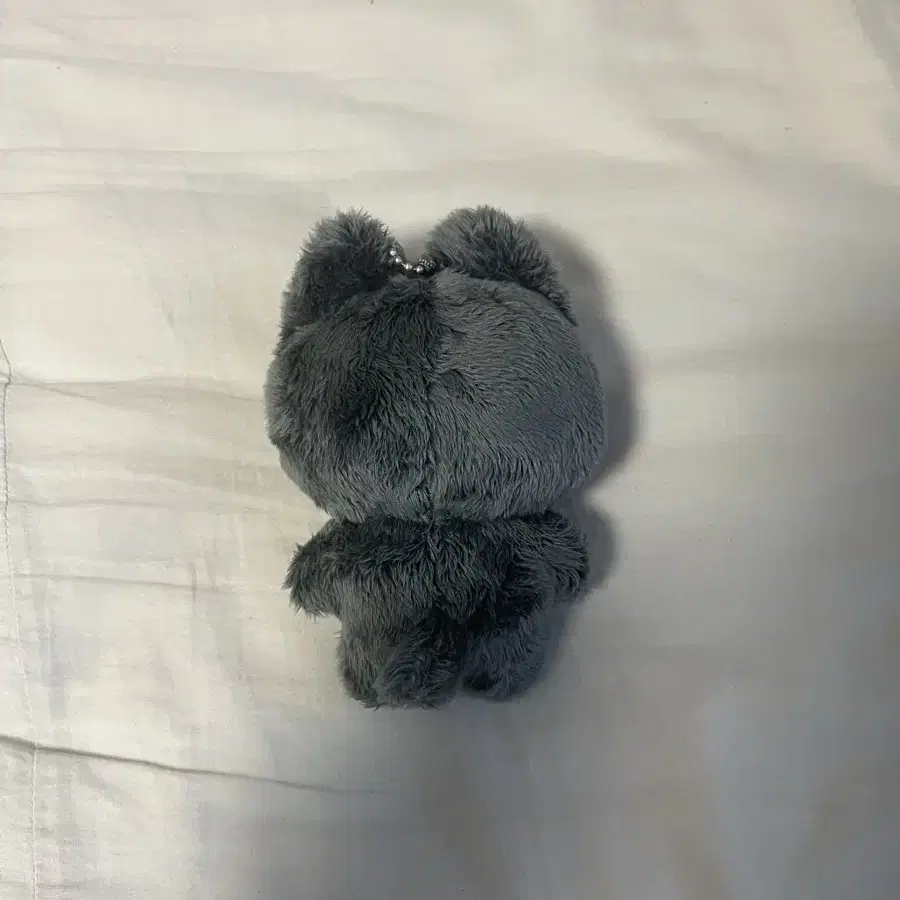 더보이즈 큐냥이 인형 양도