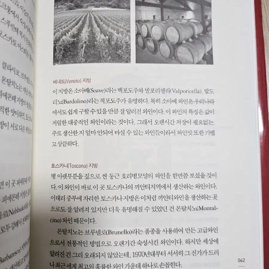 서한정의 와인 가이드