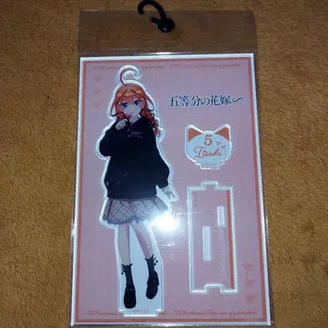 5등분의 신부 돈키호테 5월 아크릴 스탠드 고양이 귀 후드티