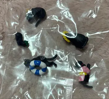 벨로체 후치네코 컴플리트 세트