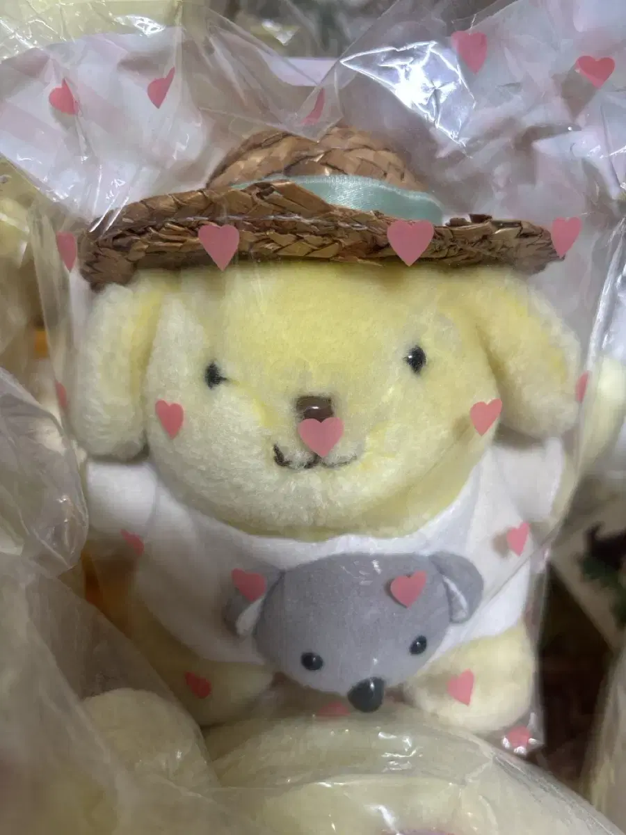 Sanrio Classic Koala Pom Pom Purin (see hat photo) (Half-priced Delivery)