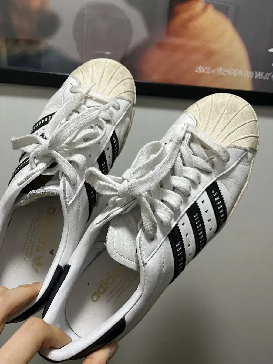 휴먼메이드 슈퍼스타 260