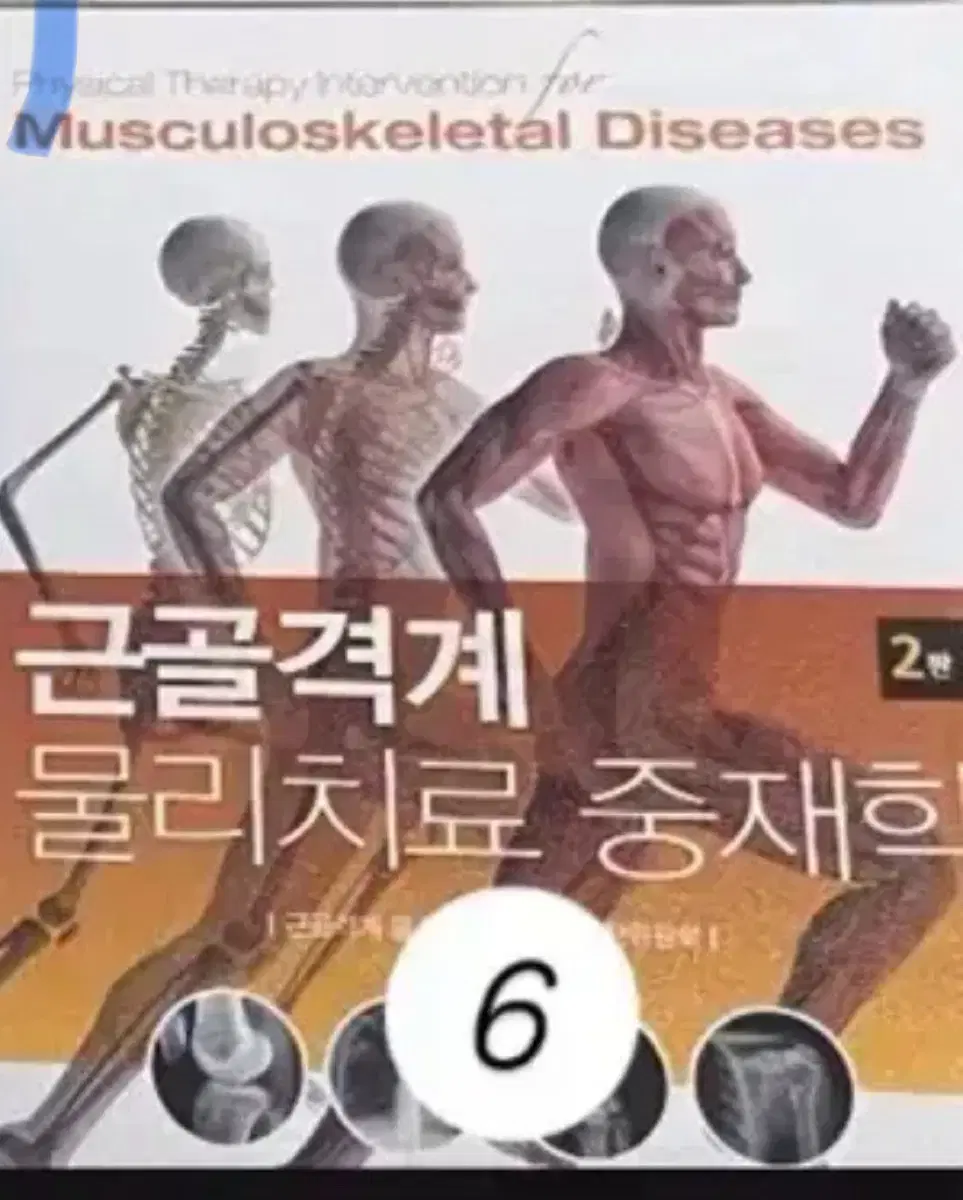 물리치료 근골격 중재학