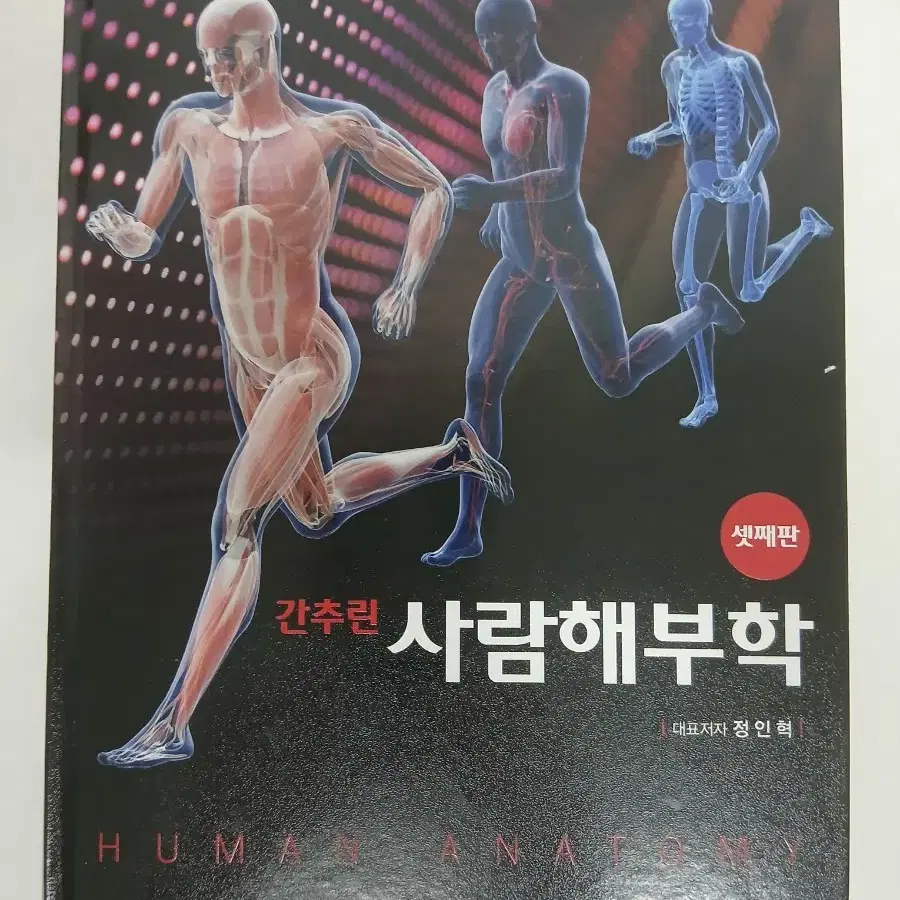 간추린 사람해부학 현문사