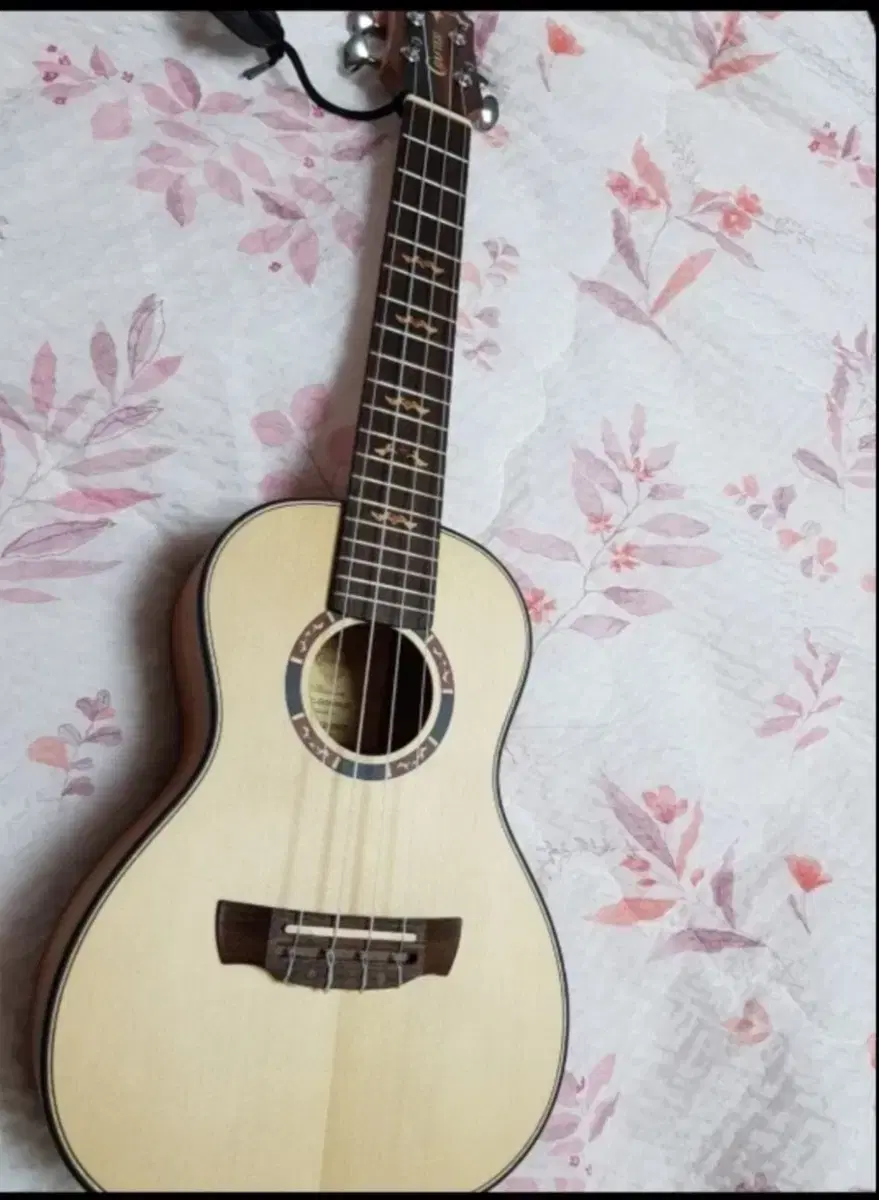 Godin's Ukulele