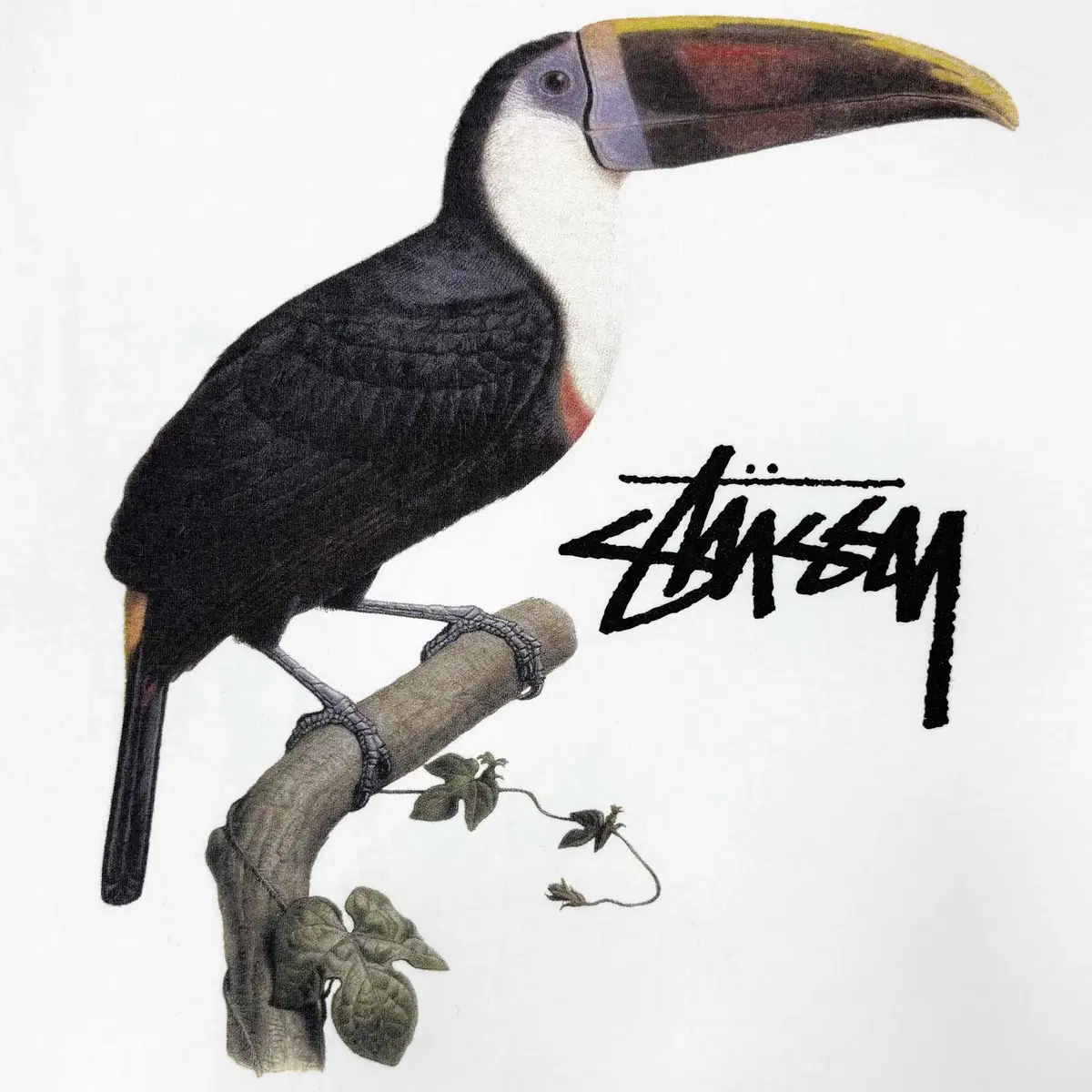 Stussy  스투시 투칸 티셔츠 블랙 화이트