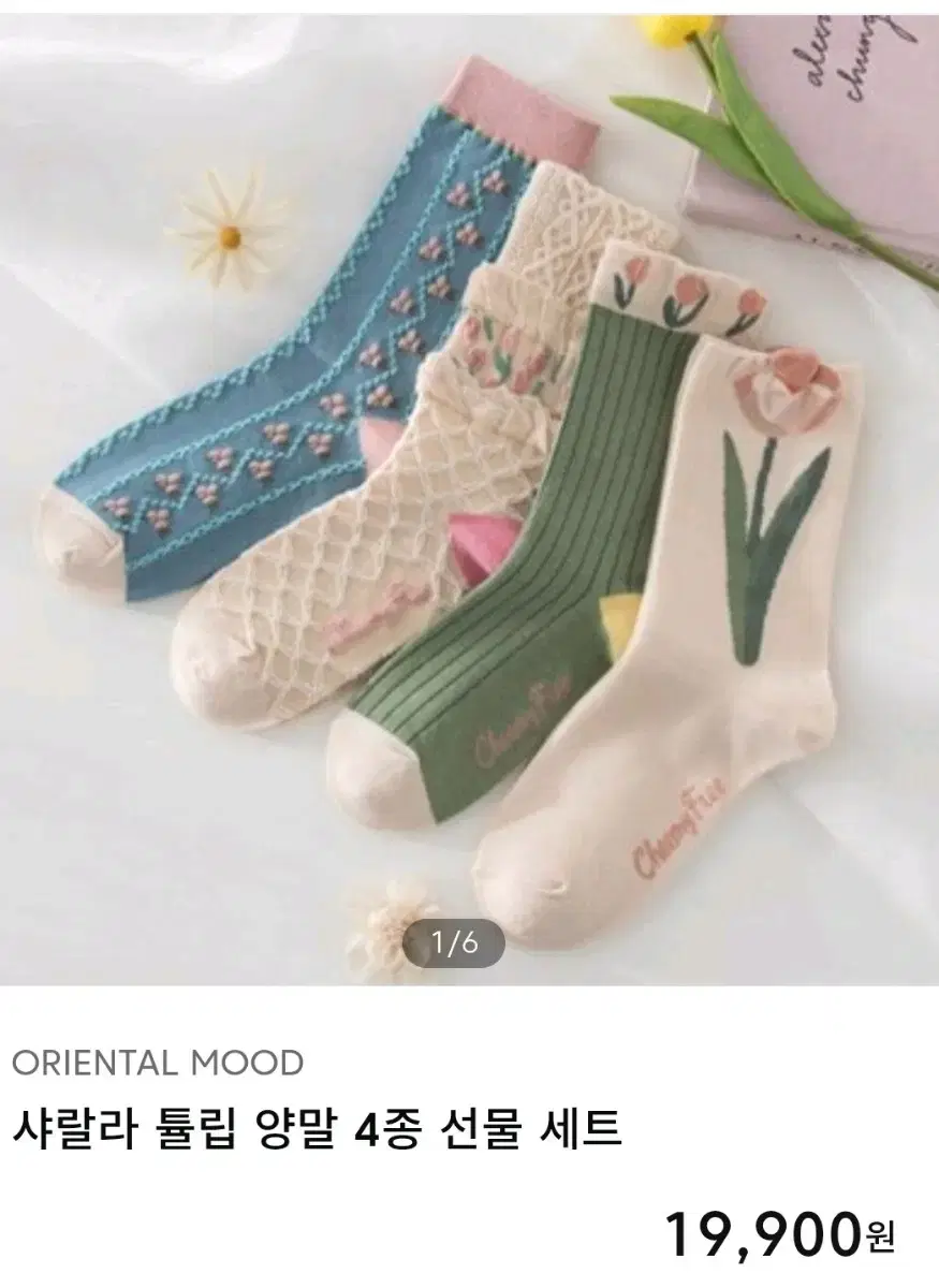 Women's Tulip Socks 4-Piece Set bulk 