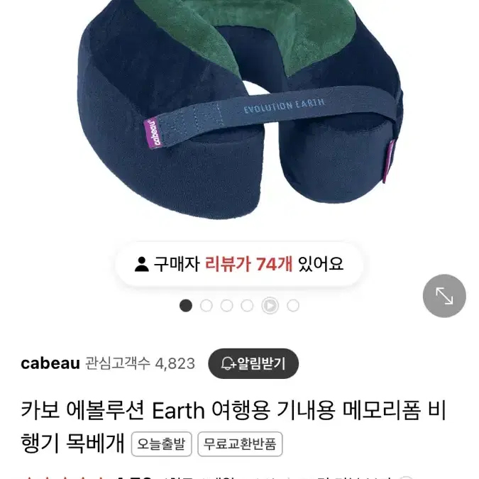 카보 에볼루션 어스 목베개