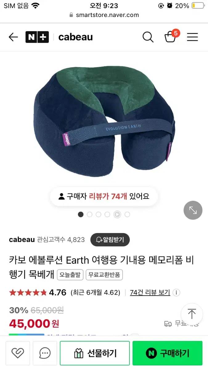 카보 에볼루션 어스 목베개