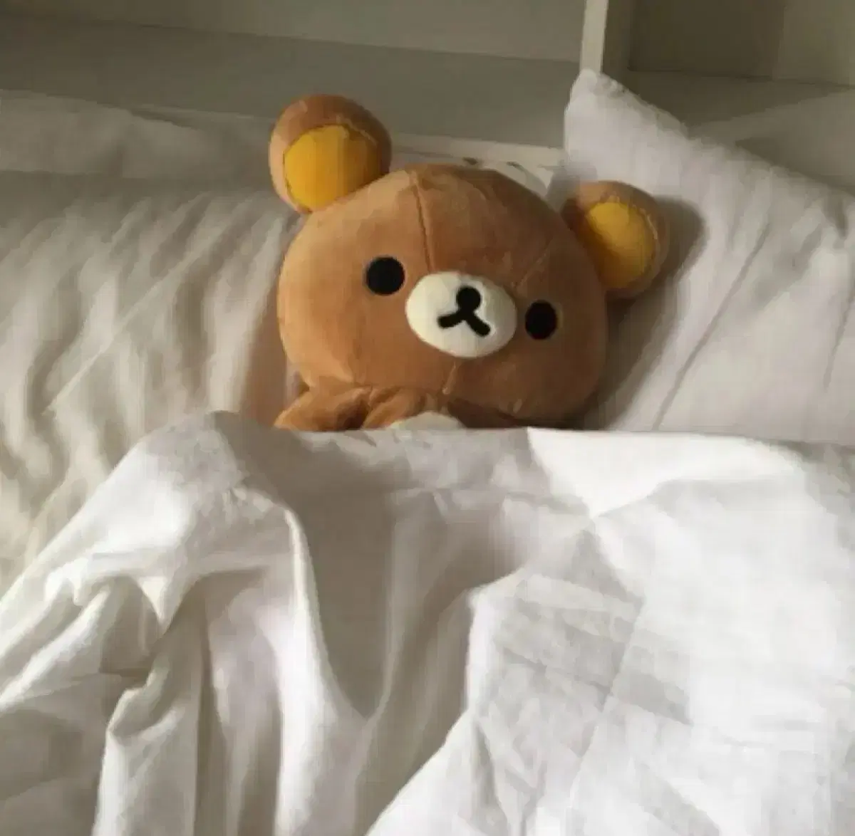 지브리 담요