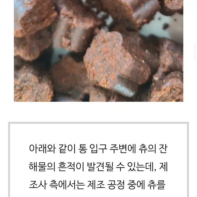 오큐글로 소프트 60정 백내장 강아지 고양이