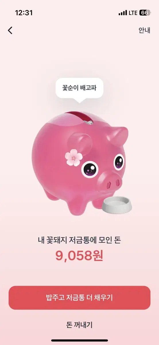 토스 꽃돼지해주시면돈드려요